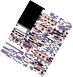 MissingNo., woomy-arras.io Wiki