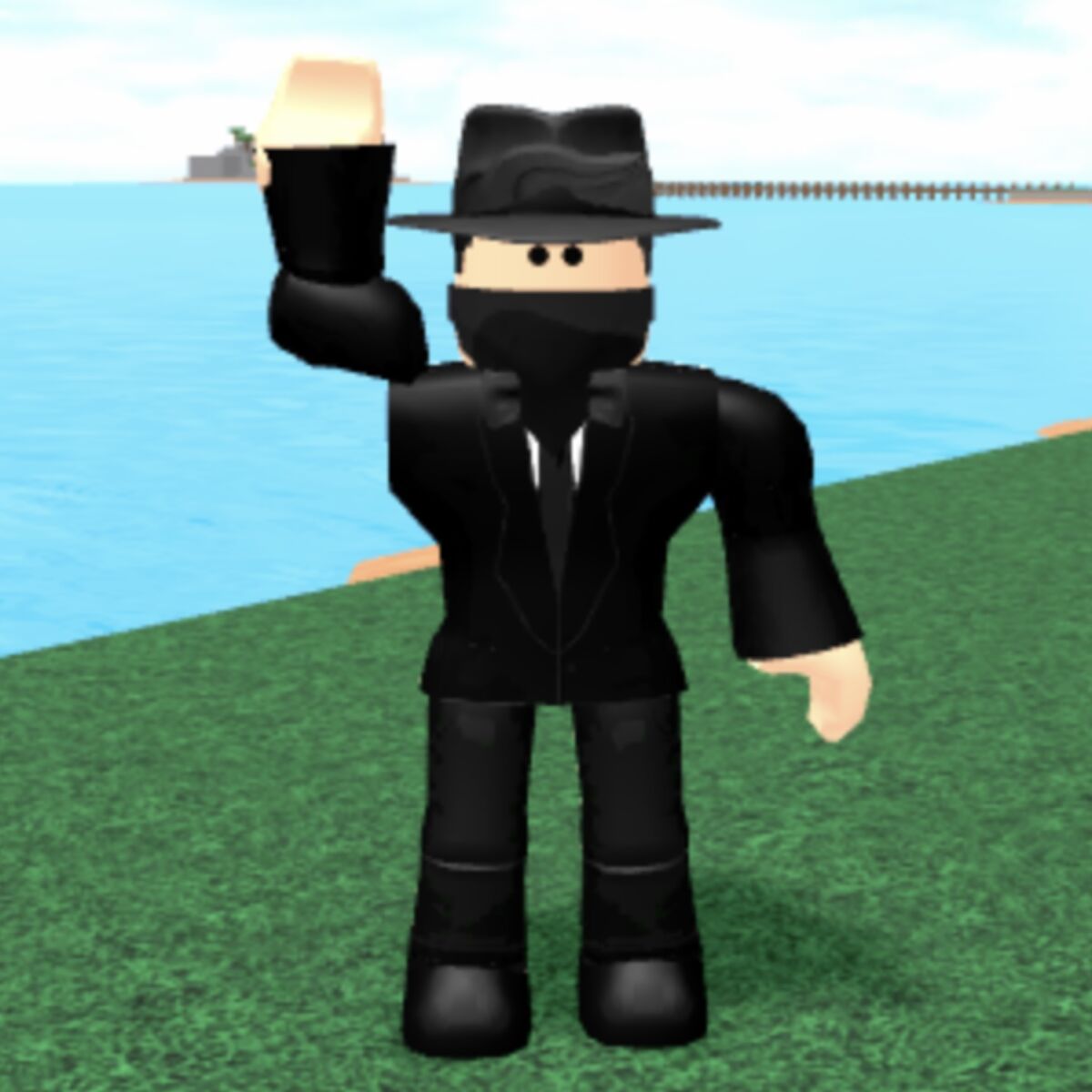 Roblox Hi / Roblox Bye / Roblox Wave Emote