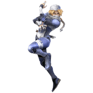 Sheik Clear SSBB