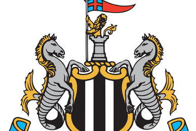 Swansea City A.F.C., World Football Wikia