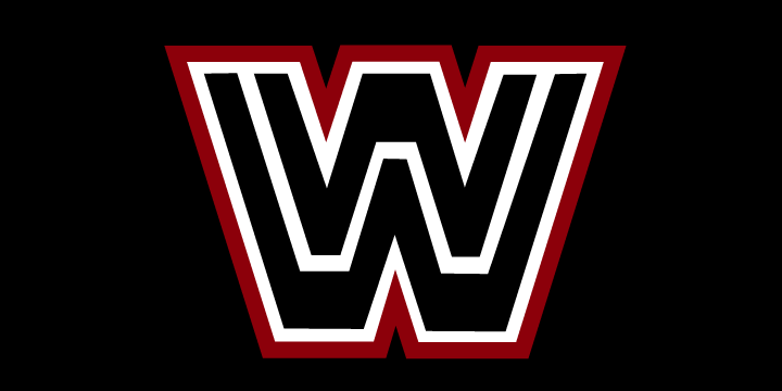 classic wwf logo