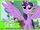 My Little Pony Friendship is Magic: The Complete Season 4