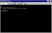 MS-DOS Prompt