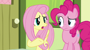 Fluttershy "they seem really upset" S8E12