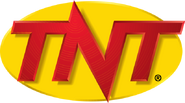 TNT logo (1995-2001)