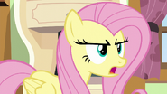 Fluttershy "find someplace else to live" S6E11