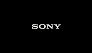 Sony (2013)