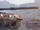 Currencies in World of Tanks