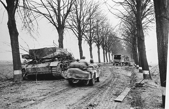 Bergepanzer III | World War II Wiki | Fandom