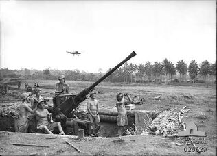 Milne Bay AA Battery, 1942