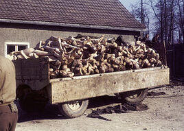Buchenwald Corpses