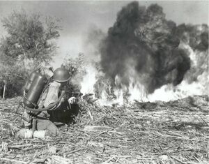 USm2flamethrower