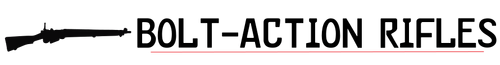 Bolt-Action Rifles (Allies)