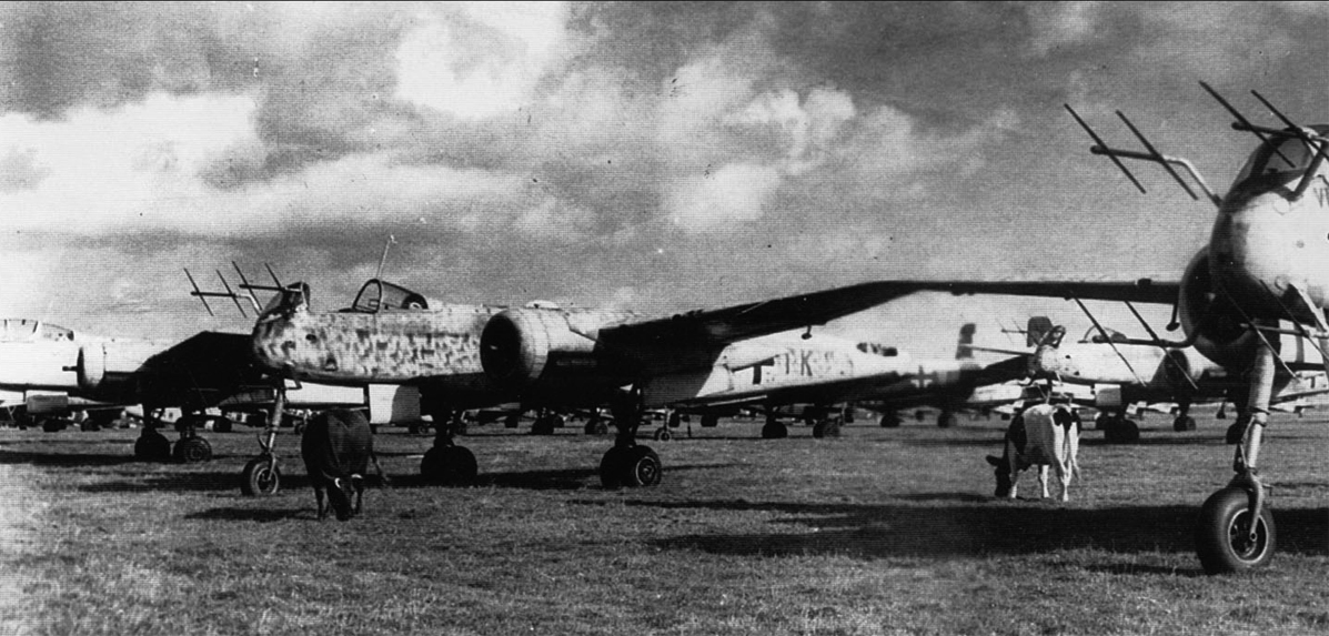 Heinkel He 219 | World War II Wiki | Fandom