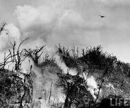Life mag peleliu2