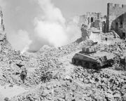 New Zealand Sherman in Action