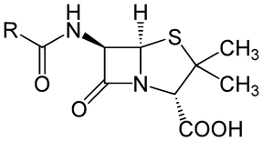 Penicillin Core Structure