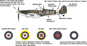 Raf markings book