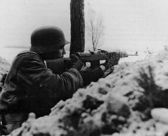 Gewehr 43 World War Ii Wiki Fandom