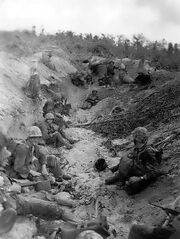 Marines on Orange Beach, Peleliu 1944