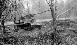 Abandoned ZiS-30