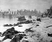 Dead marines on Tarawa