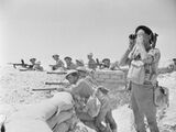 First Battle of El Alamein