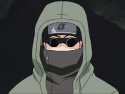 Road to Ninja Aburame Shino, Snazzyfluff Wiki