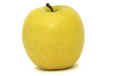 Apple, The Snack Encyclopedia Wiki