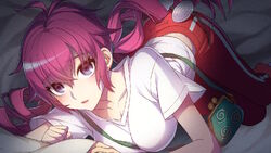 Protagonist, Worldend Syndrome Wiki