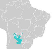 Mataco-Guaicuru Languages