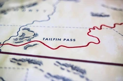 Tailfinpasscloseup