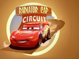Radiator Cap Circuit