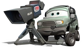 Nelson blindspot1