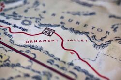 Ornamentvalleycloseup