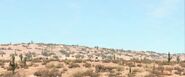 A deserted place with a few cactus and plants