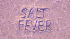 SALTFEVERepisodecover