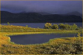 Golden Griffins' Water Source