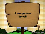 The first page of the First Sign in Ivy Towers, reading: "A new species of GooBall!"