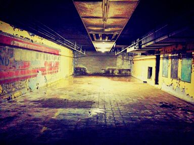 Path 1.jpg