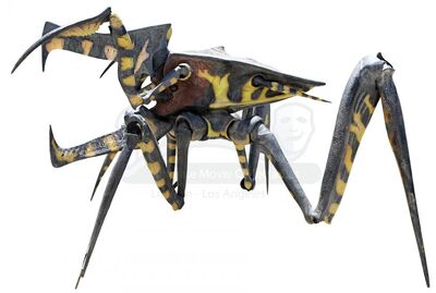 Warrior Bug | Worldofjaymz Wiki | Fandom
