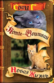 Категория:Книги | Мир Котов-Воителей Вики | Fandom