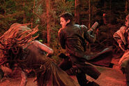 Hansel-et-Gretel-Witch-Hunters-Photo-Jeremy-Renner-01