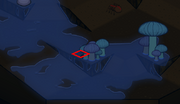 CaveBoots.png