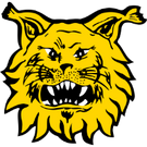 伊韋斯 FC Ilves