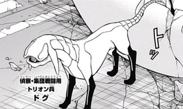 Manga