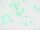 YumaOP3.gif