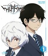 On the DVD/Blu-ray Volume 1 cover.