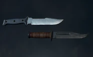 Dual Knives