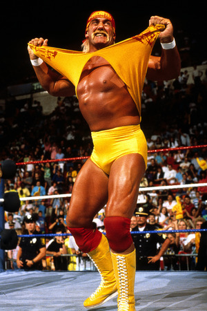 Download Hulk Hogan American Wrestler Wallpaper | Wallpapers.com